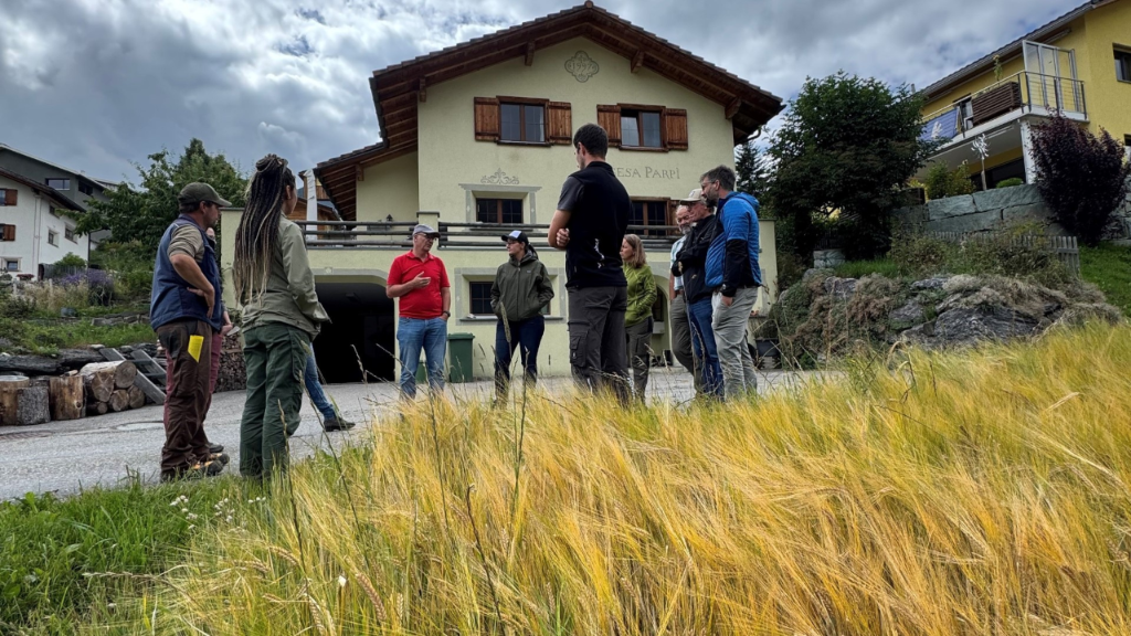 20250909_VS_Alp_berglandwirtschaft_impresionnen_20250730_visite essas orge Grisons_KatjaJacotAmm_web